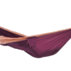 plum-peach