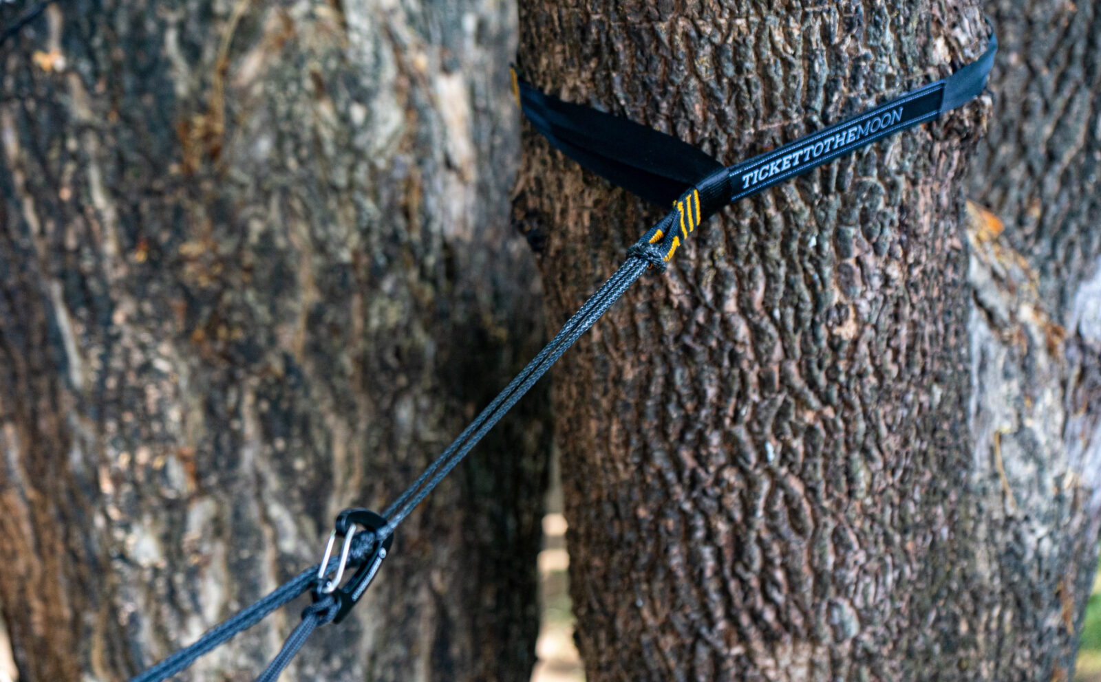 11-06-2019_Ticket_To_ The_Moon_TMLSTRAP_Lightest_Strap_Studio_In_Use_tree