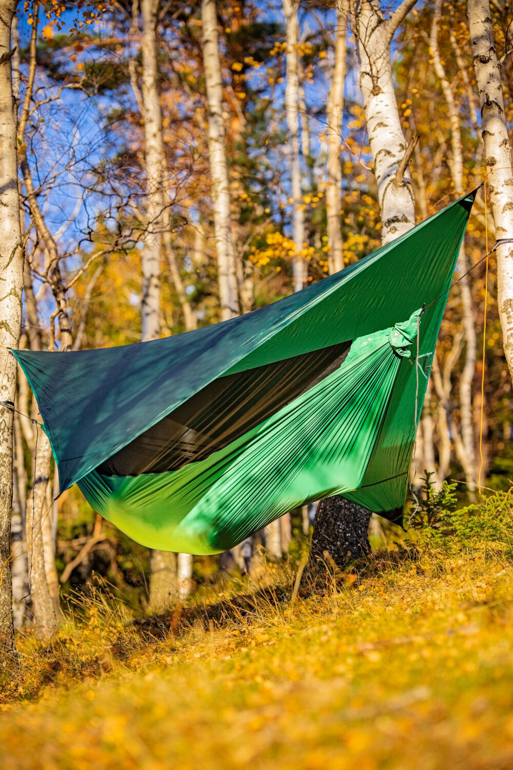 Lightest Pro Camping Hammock Hammockology